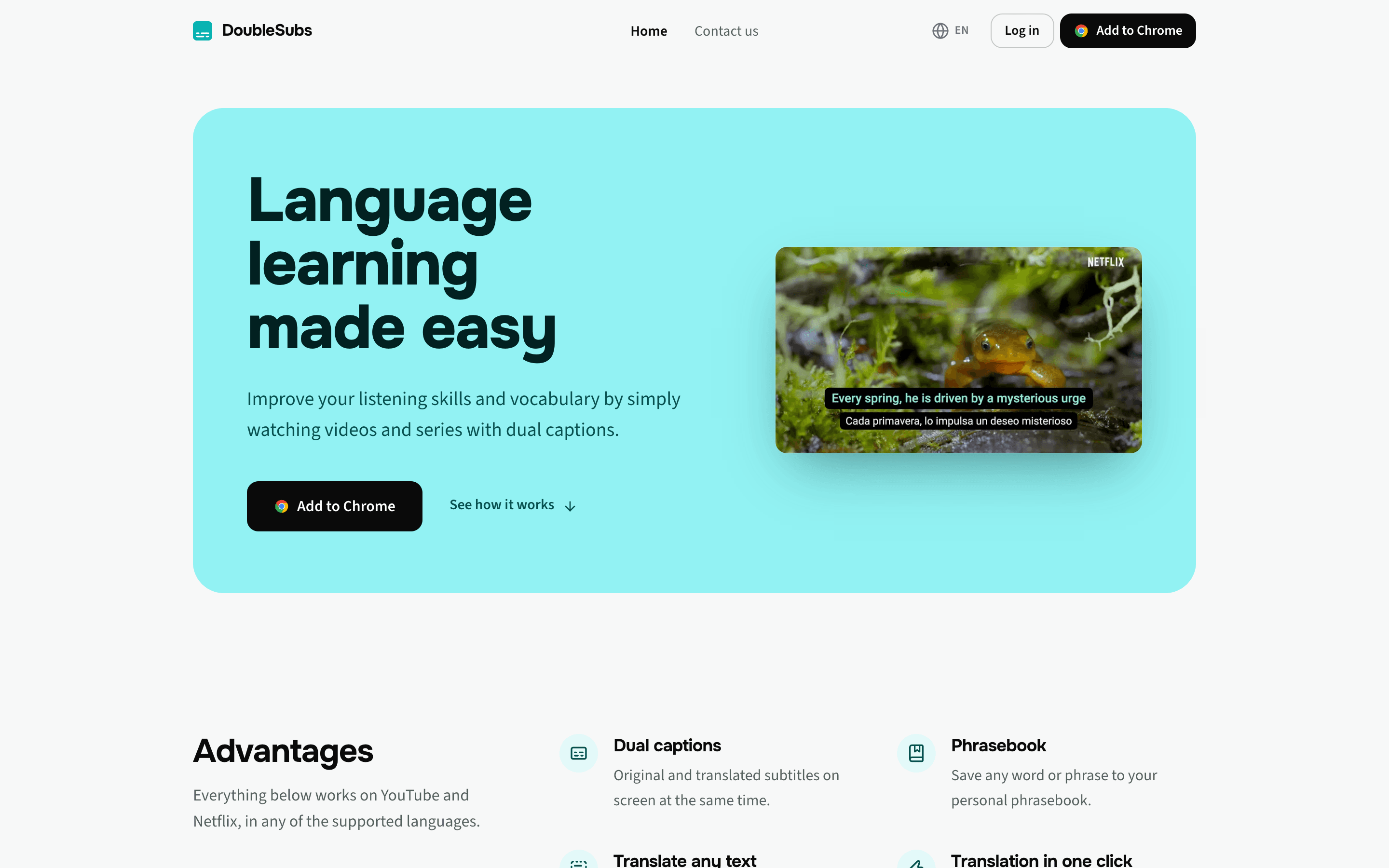 DoubleSubs: Landing page — hero
